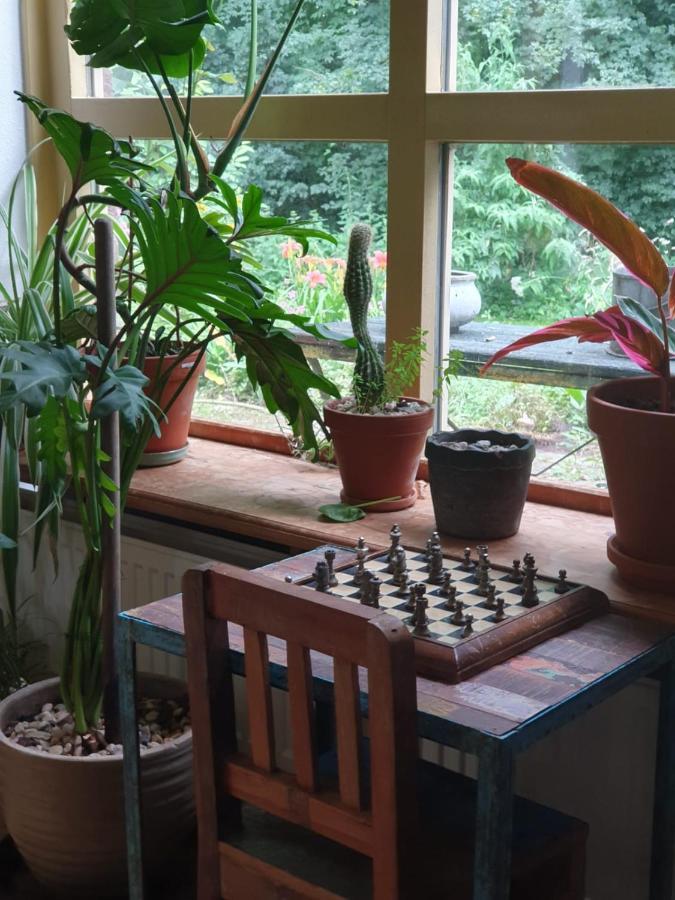 Blauwe Lelie Villa Ewijk Ngoại thất bức ảnh